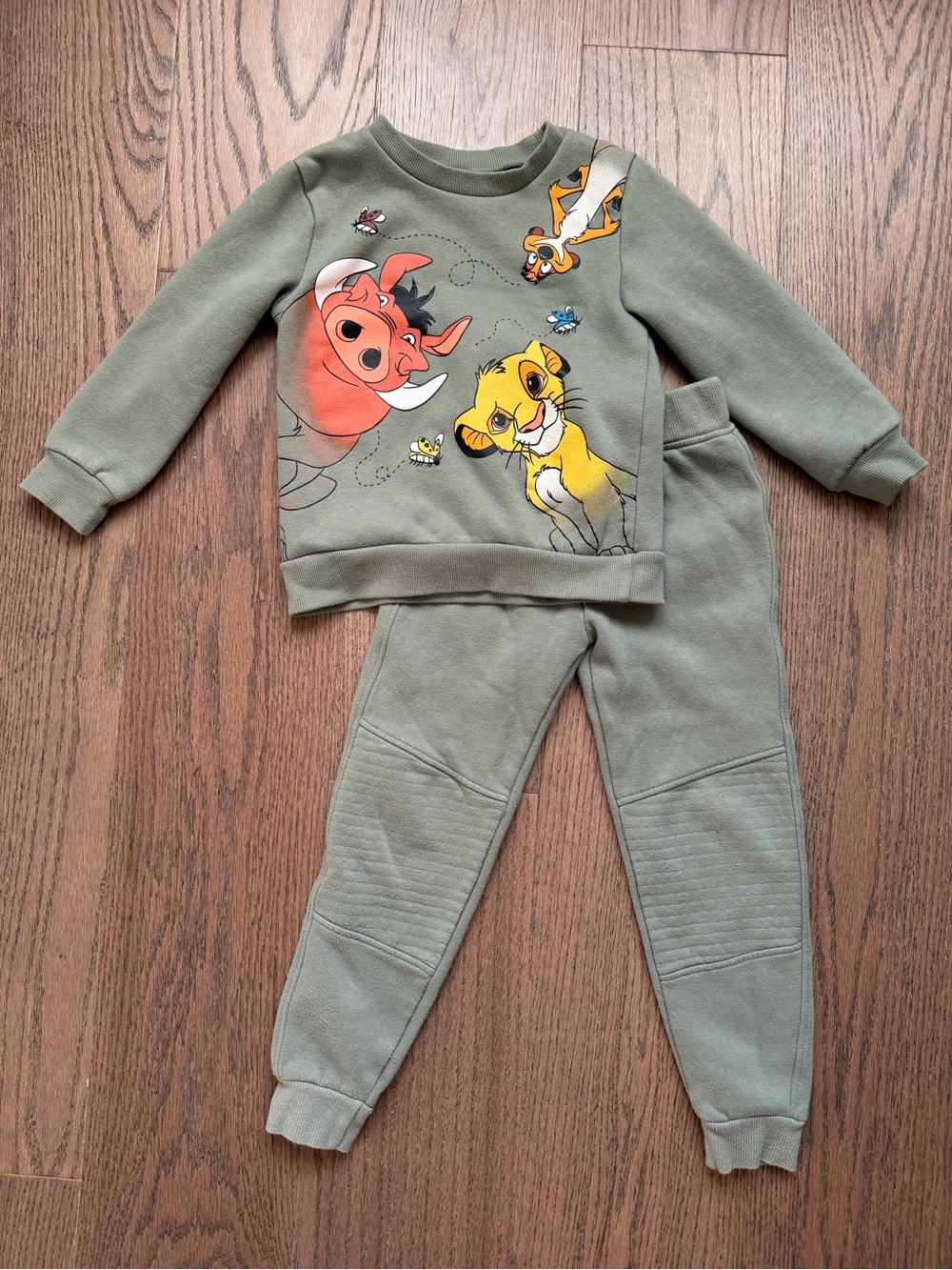 Disney Lion King Sage Green Kids Matching Set - 5T